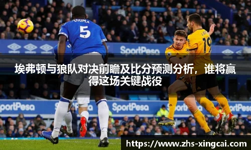 埃弗顿与狼队对决前瞻及比分预测分析，谁将赢得这场关键战役
